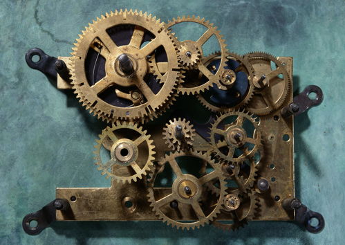 Muzze || Art & History Museum