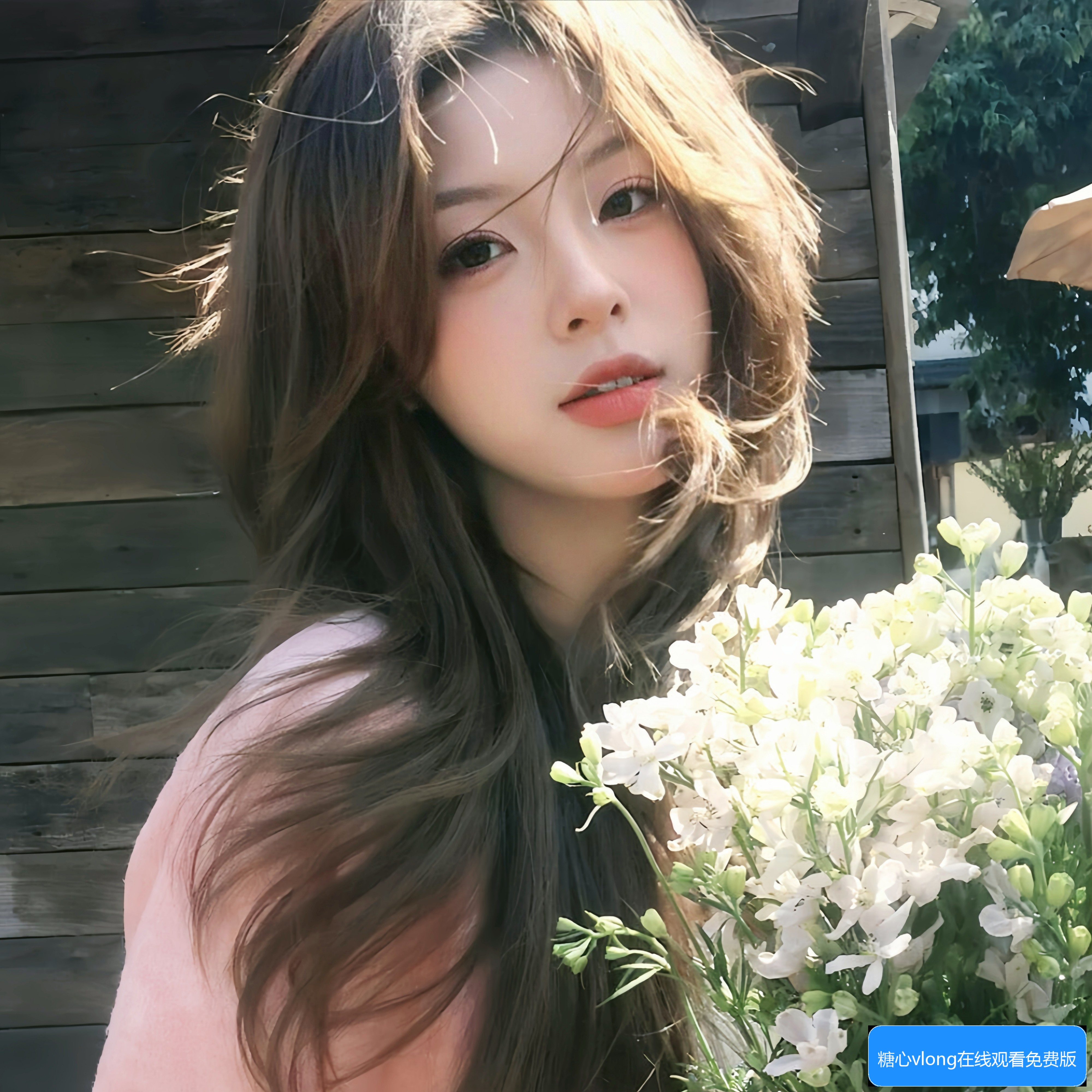 糖心Vlong在线观看免费版怎么下载以及在线观看的方法指南